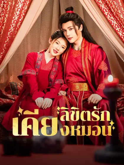 ลิขิตรักเคียงหมอน