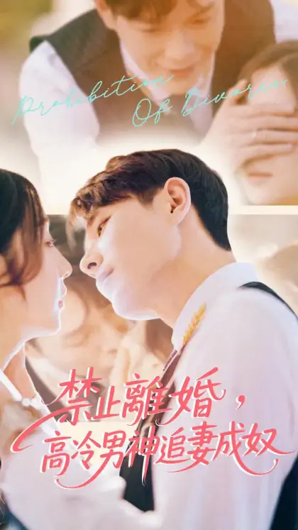 禁止離婚,高冷男神追妻成奴