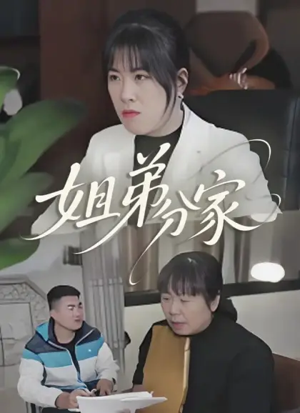 姐弟分家