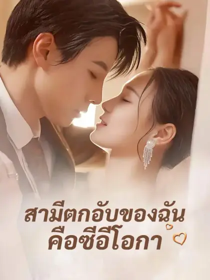 สามีตกอับของฉันคือซีอีโอ