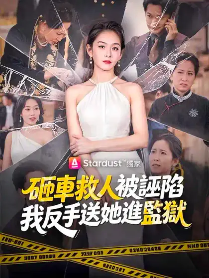 砸車救人被誣陷,我反手送她進監獄